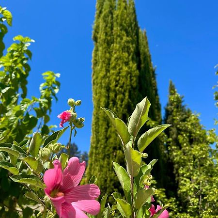 Demelida Villa In Tsada, Paphos Tsadha Экстерьер фото