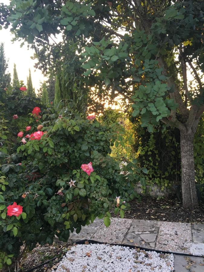 Demelida Villa In Tsada, Paphos Tsadha Экстерьер фото