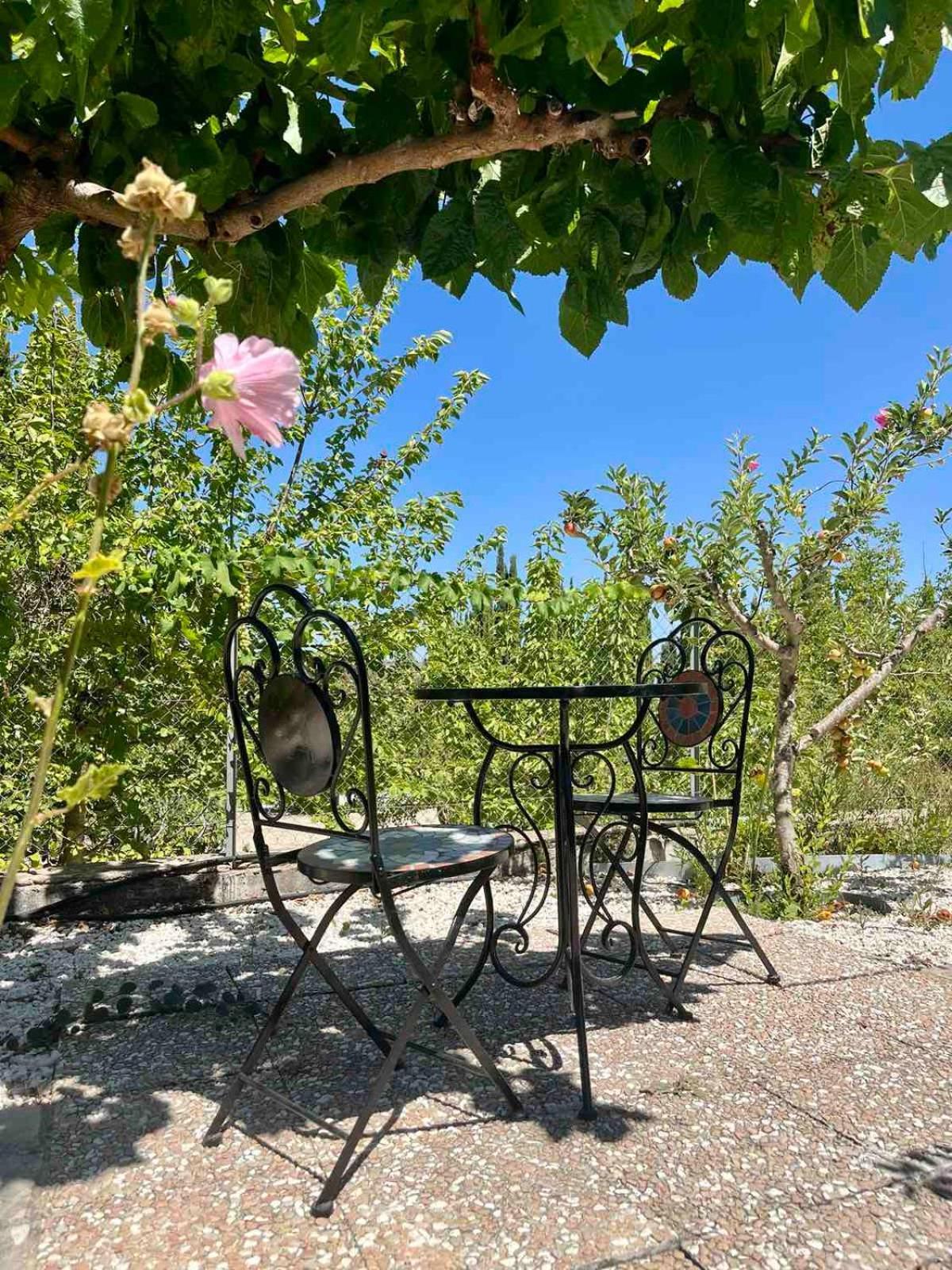 Demelida Villa In Tsada, Paphos Tsadha Экстерьер фото