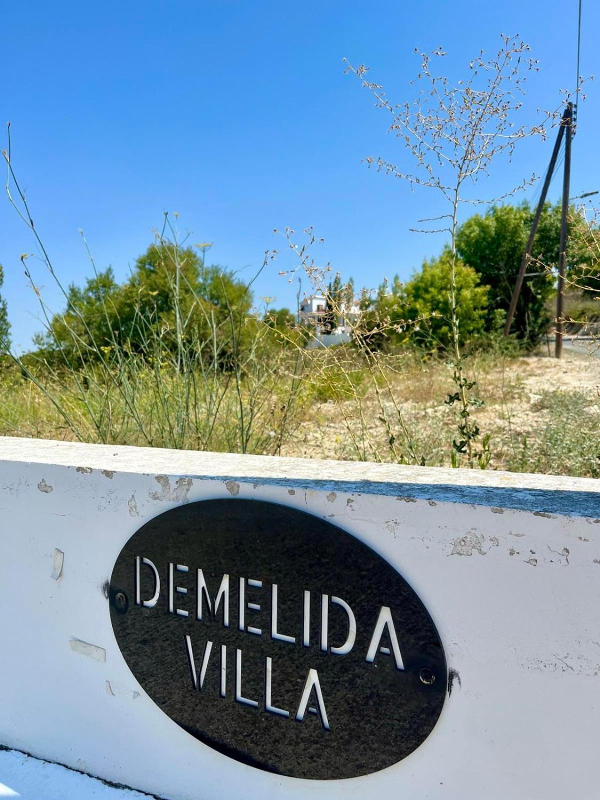 Demelida Villa In Tsada, Paphos Tsadha Экстерьер фото
